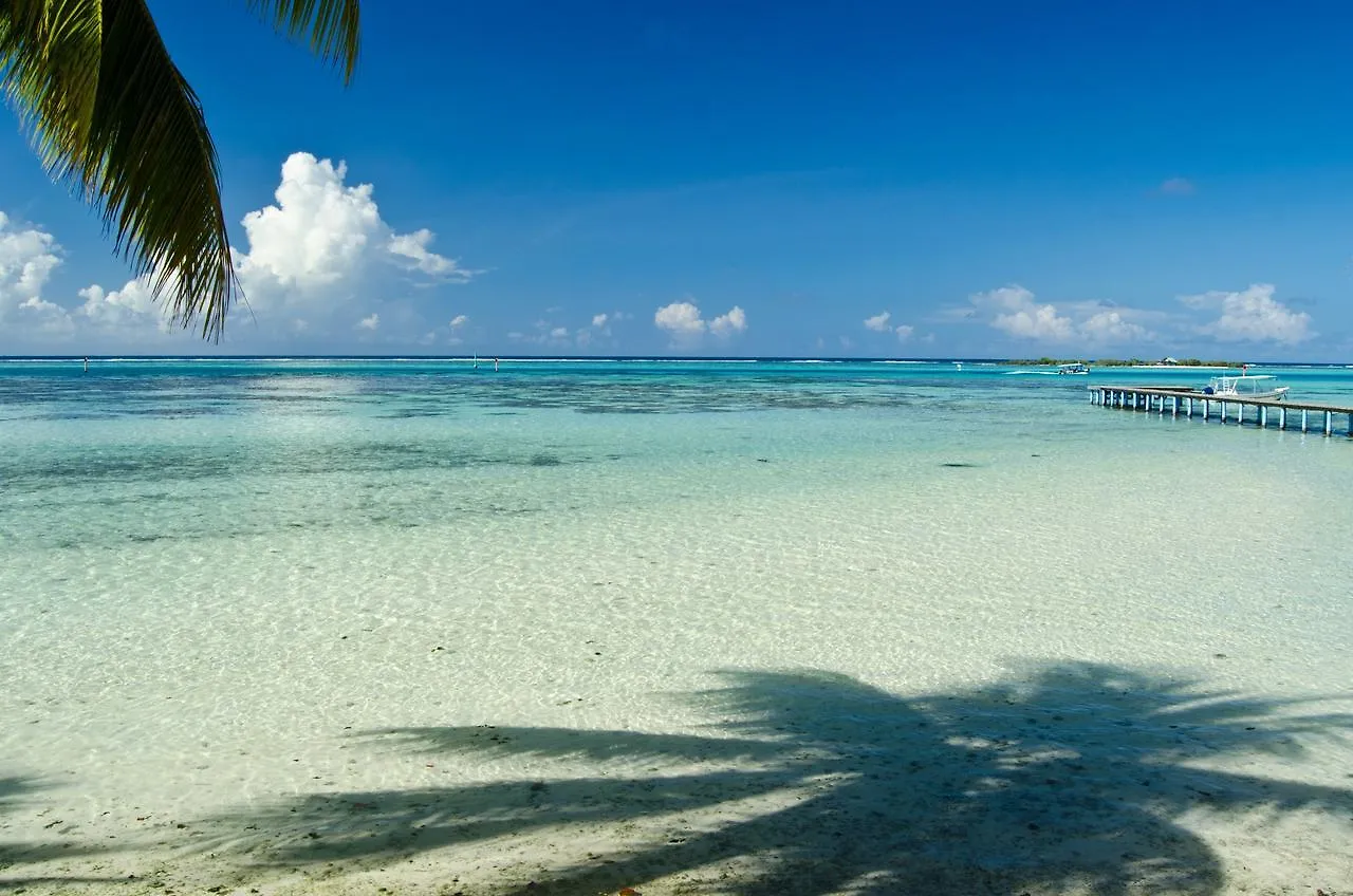 Hotel Les Tipaniers Moorea