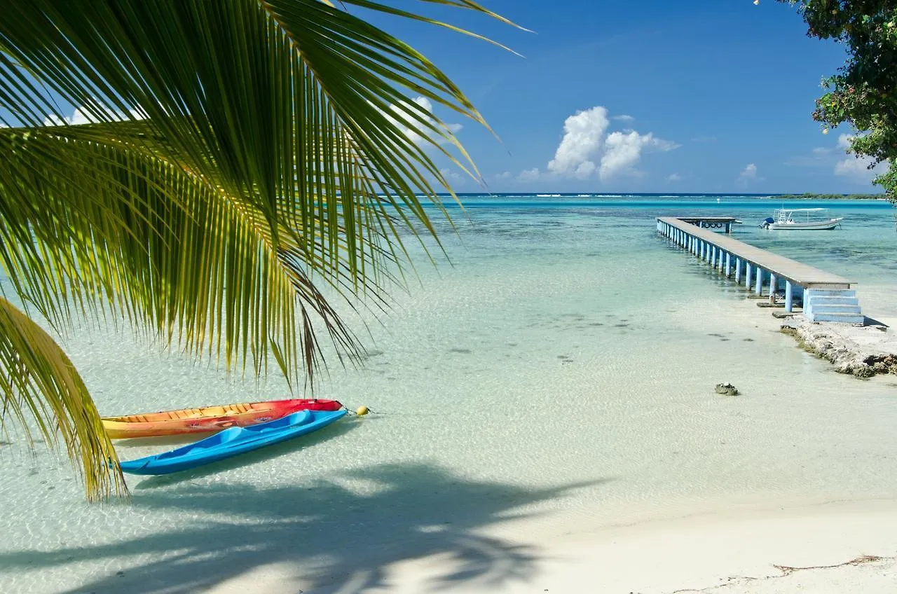 Hotel Les Tipaniers Moorea